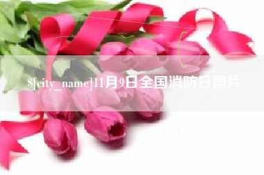 枣庄11月9日全国消防日图片