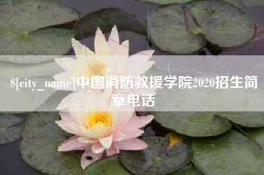 枣庄中国消防救援学院2020招生简章电话