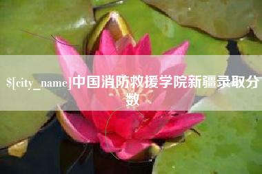 枣庄中国消防救援学院新疆录取分数