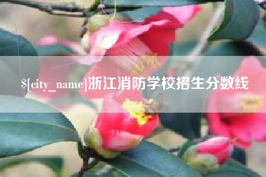 枣庄浙江消防学校招生分数线