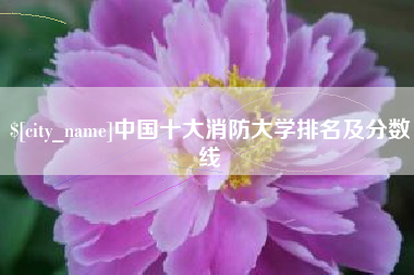 枣庄中国十大消防大学排名及分数线