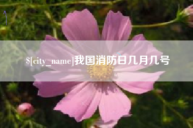 枣庄我国消防日几月几号