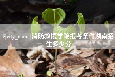 枣庄消防救援学院报考条件湖南招生多少分