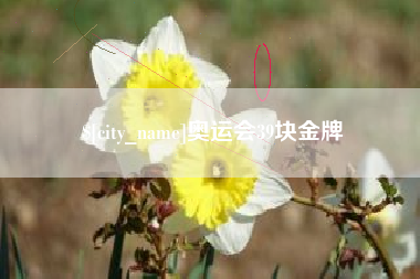 枣庄奥运会39块金牌