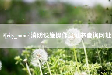 枣庄消防设施操作员证书查询网址
