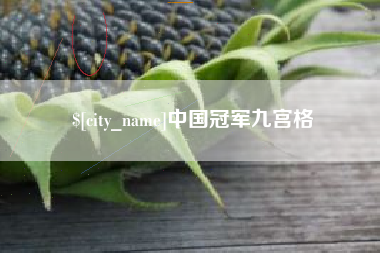 枣庄中国冠军九宫格
