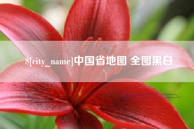 枣庄中国省地图 全图黑白