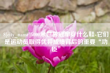 枣庄5000米世界冠军穿什么鞋-它们是运动员取得优异成绩背后的重要“功臣”