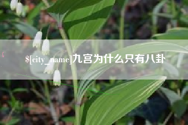 枣庄九宫为什么只有八卦