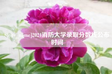 枣庄2024消防大学录取分数线公布时间