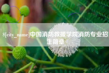 枣庄中国消防救援学院消防专业招生简章