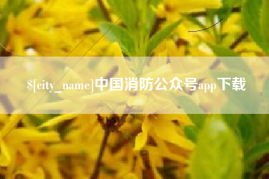 枣庄中国消防公众号app下载