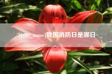 枣庄我国消防日是哪日