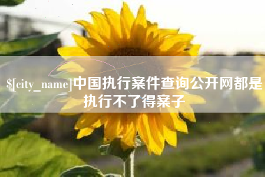 枣庄中国执行案件查询公开网都是执行不了得案子