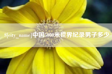 枣庄中国5000米世界纪录男子多少