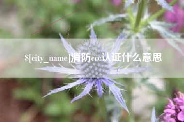 枣庄消防ccc认证什么意思