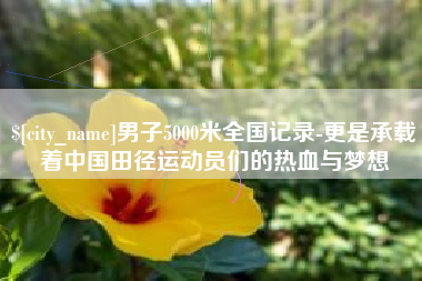 枣庄男子5000米全国记录-更是承载着中国田径运动员们的热血与梦想