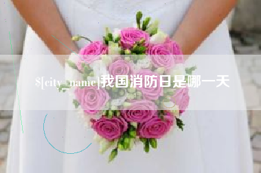 枣庄我国消防日是哪一天