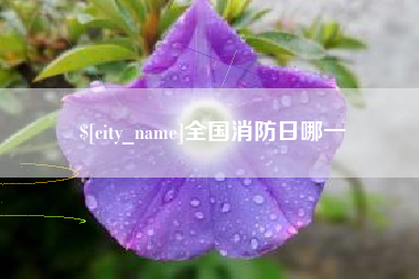枣庄全国消防日哪一