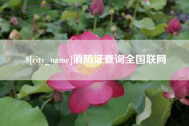 枣庄消防证查询全国联网