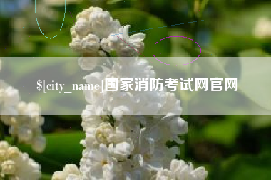 枣庄国家消防考试网官网