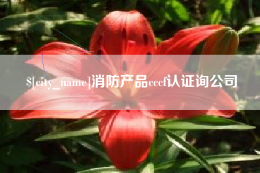 枣庄消防产品cccf认证询公司