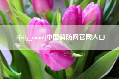 枣庄中国消防网官网入口