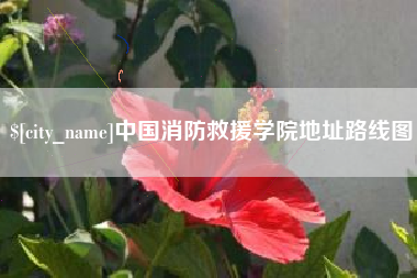 枣庄中国消防救援学院地址路线图