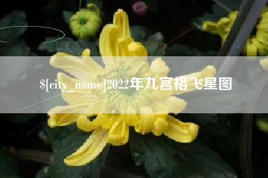 枣庄2022年九宫格飞星图