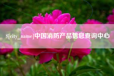 枣庄中国消防产品信息查询中心