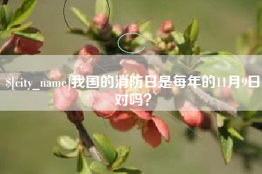 枣庄我国的消防日是每年的11月9日对吗？