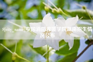 枣庄中国消防救援学院湖南招生情况公布