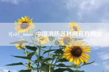 枣庄中国消防器材网官方网站