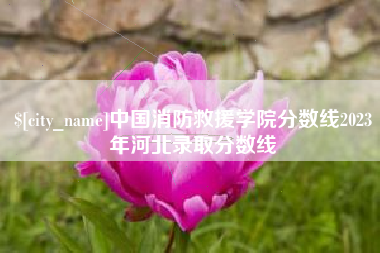 枣庄中国消防救援学院分数线2023年河北录取分数线