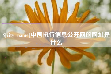 枣庄中国执行信息公开网的网址是什么