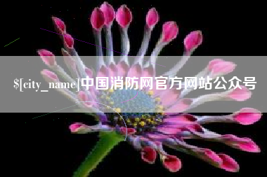 枣庄中国消防网官方网站公众号