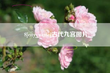 枣庄古代九宫图片
