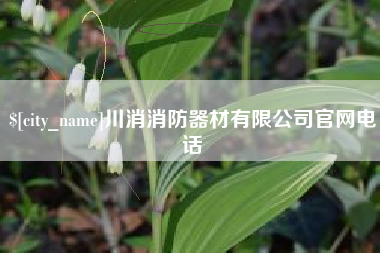 枣庄川消消防器材有限公司官网电话