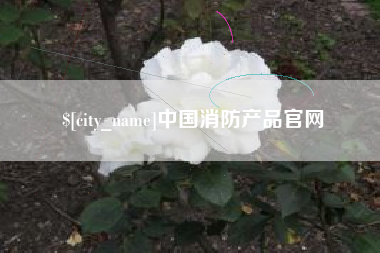 枣庄中国消防产品官网