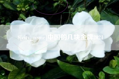 枣庄中国的几块金牌2021