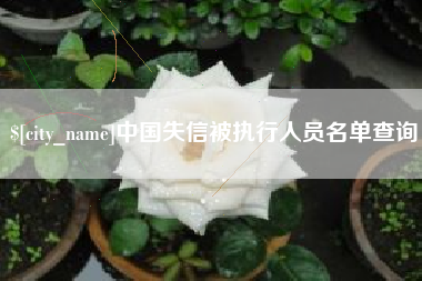 枣庄中国失信被执行人员名单查询