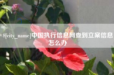 枣庄中国执行信息网查到立案信息怎么办