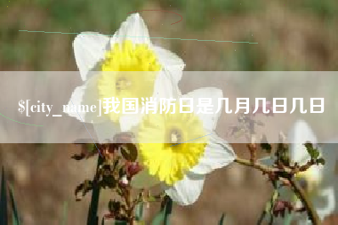 枣庄我国消防日是几月几日几日