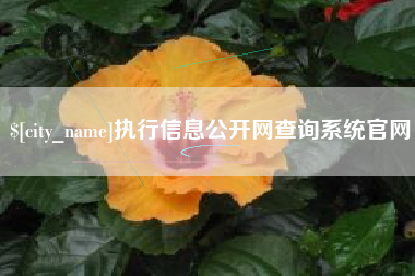 枣庄执行信息公开网查询系统官网