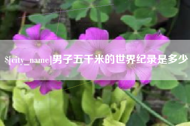 枣庄男子五千米的世界纪录是多少
