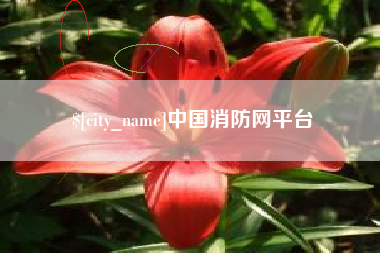 枣庄中国消防网平台