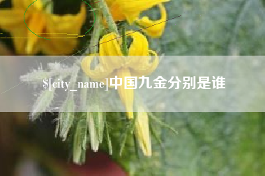 枣庄中国九金分别是谁