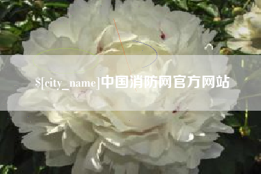 枣庄中国消防网官方网站