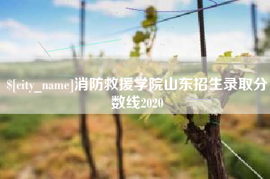 枣庄消防救援学院山东招生录取分数线2020