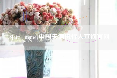 枣庄中国失信执行人查询官网